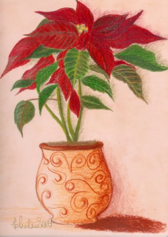 poinsettia2.jpg