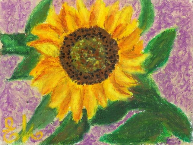 sunflower2.jpg