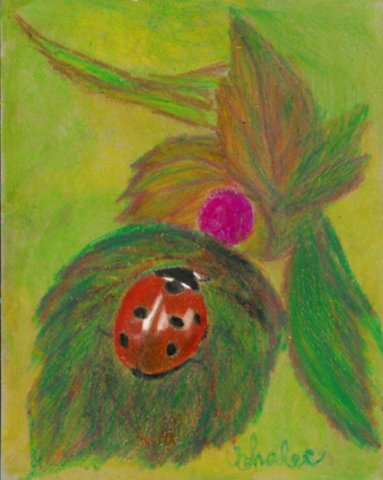 ladybug.jpg