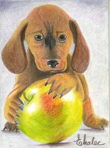 puppywithapple2.jpg