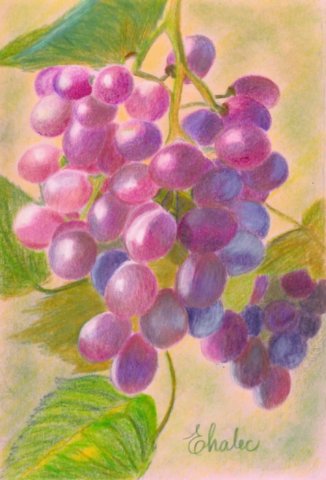 grapes.jpg