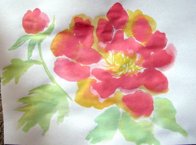 peony3.jpg