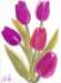 tulips4_small.jpg