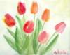 tulips6_small.jpg