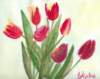 tulips7_small.jpg