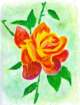 arose_small.jpg