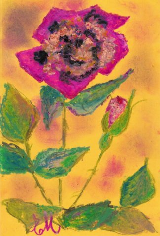 rose2.jpg