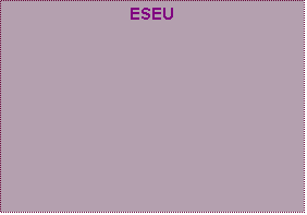 Text Box: ESEU

Mitul culturii faustice

Valori, ideal valoric, tipuri de culturi

Nevoia de pedagogie

Literatura e politica
