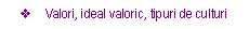 Text Box: v	Valori, ideal valoric, tipuri de culturi