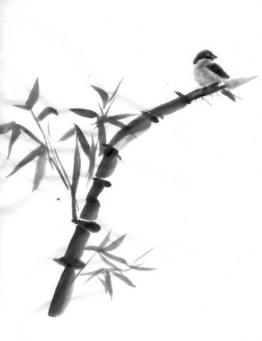 bambooandbird.jpg