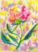 peony_small.jpg