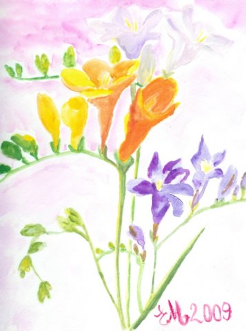 freesias3.jpg