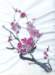 plumblossoms_small.jpg