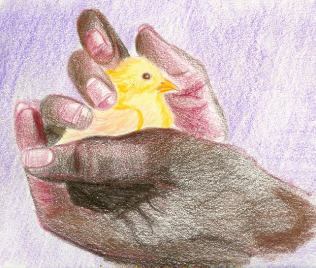 chick.jpg