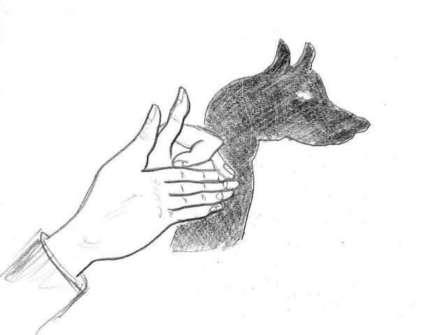 dog.jpg