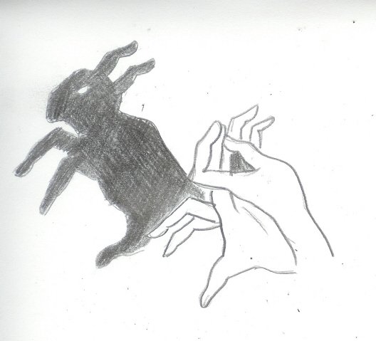rabbit.jpg