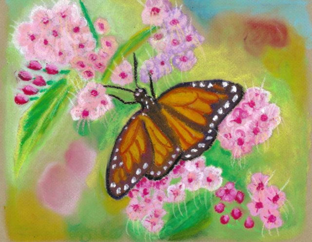 anothermonarchbutterfly.jpg