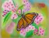 anothermonarchbutterfly_small.jpg