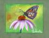 butterflyonaflower_small.jpg