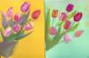 tulips4_small.jpg