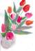 tulips_small.jpg