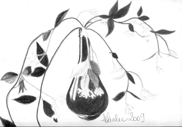 vasewithjasmine.jpg
