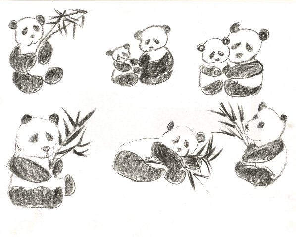 pandas2.jpg