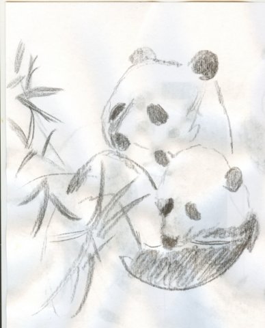 pandas6.jpg