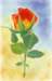 rosebud3_small.jpg