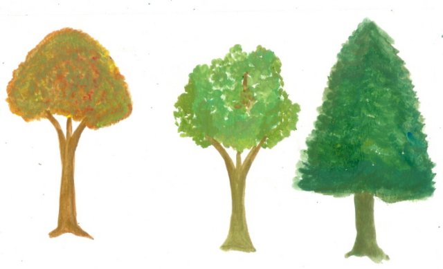 trees2.jpg