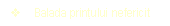 Text Box: v	Balada prinţului nefericit