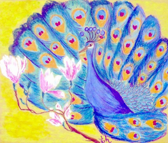peacock.jpg