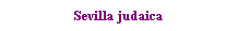Text Box: Sevilla judaica
