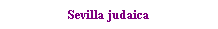 Text Box: Sevilla judaica