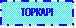 Text Box: TOPKAPI