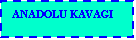 Text Box: ANADOLU KAVAGI