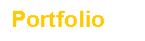 Text Box: Portfolio