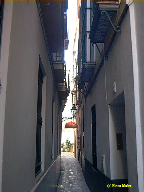 patios sevillanos patios sevillanos patios sevillanos patios sevillanos