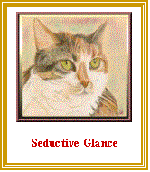 Text Box:  

Seductive Glance
