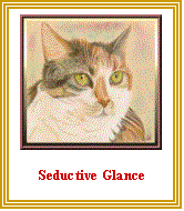 Text Box:  

Seductive Glance
