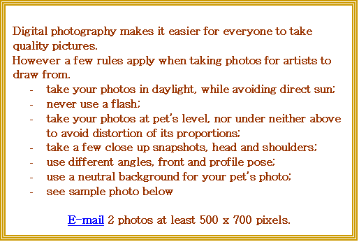 Text Box: Digital photography makes it easier for everyone to take quality pictures.
However a few rules apply when taking photos for artists to draw from.
-	take your photos in daylight, while avoiding direct sun;
-	never use a flash;
-	take your photos at pets level, nor under neither above to avoid distortion of its proportions;
-	take a few close up snapshots, head and shoulders;
-	use different angles, front and profile pose;
-	use a neutral background for your pets photo;
-	see sample photo below

E-mail 2 photos at least 500 x 700 pixels.
