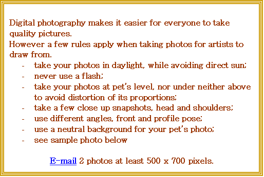 Text Box: Digital photography makes it easier for everyone to take quality pictures.
However a few rules apply when taking photos for artists to draw from.
-	take your photos in daylight, while avoiding direct sun;
-	never use a flash;
-	take your photos at pets level, nor under neither above to avoid distortion of its proportions;
-	take a few close up snapshots, head and shoulders;
-	use different angles, front and profile pose;
-	use a neutral background for your pets photo;
-	see sample photo below

E-mail 2 photos at least 500 x 700 pixels.
