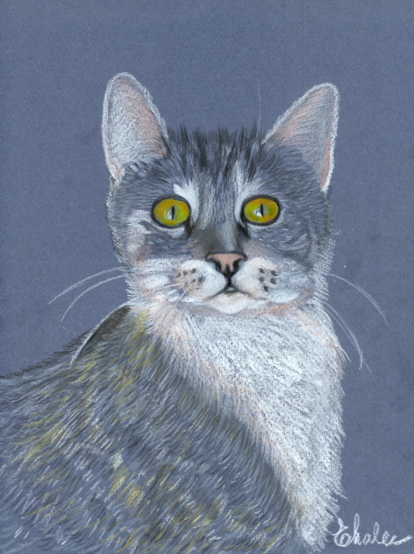 Mon second chat Gkitty