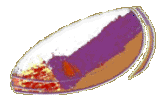 Text Box:  
